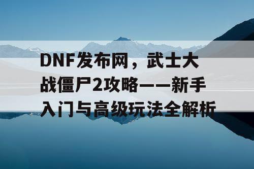 DNF发布网，武士大战僵尸2攻略——新手入门与高级玩法全解析