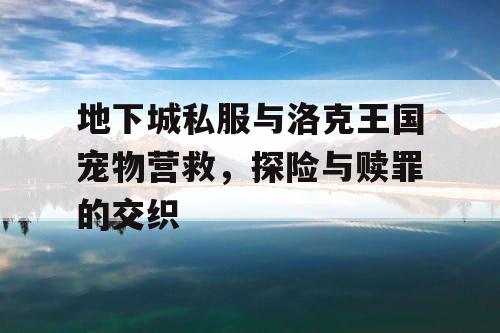 地下城私服与洛克王国宠物营救，探险与赎罪的交织