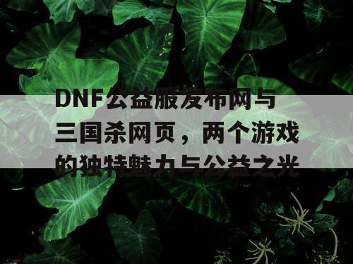 DNF公益服发布网与三国杀网页，两个游戏的独特魅力与公益之光