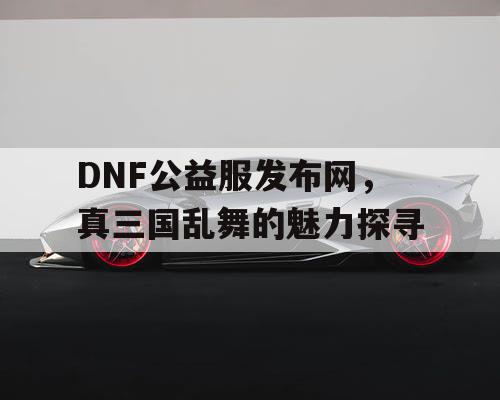 DNF公益服发布网，真三国乱舞的魅力探寻