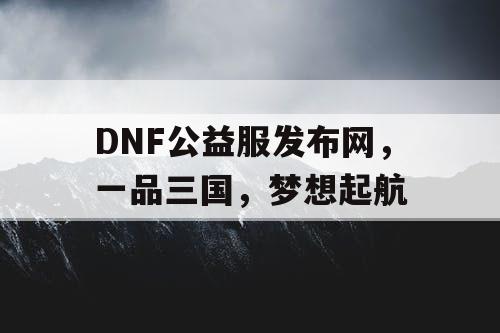 DNF公益服发布网，一品三国，梦想起航