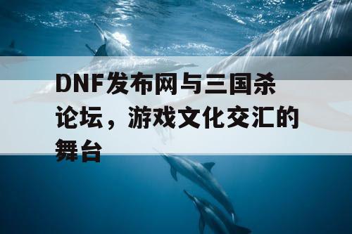 DNF发布网与三国杀论坛，游戏文化交汇的舞台