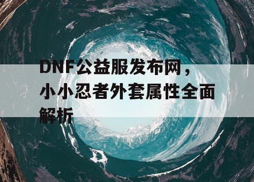 DNF公益服发布网，小小忍者外套属性全面解析