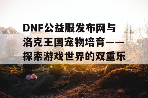 DNF公益服发布网与洛克王国宠物培育——探索游戏世界的双重乐趣