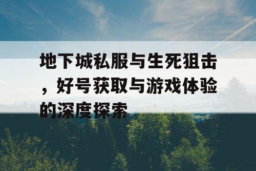 地下城私服与生死狙击，好号获取与游戏体验的深度探索