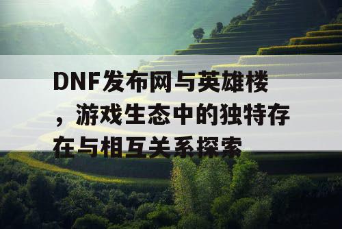 DNF发布网与英雄楼，游戏生态中的独特存在与相互关系探索