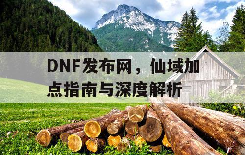 DNF发布网，仙域加点指南与深度解析