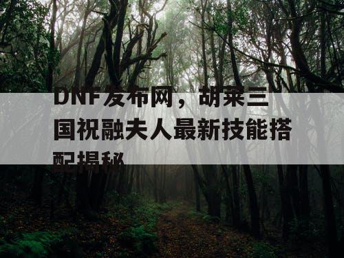 DNF发布网，胡莱三国祝融夫人最新技能搭配揭秘