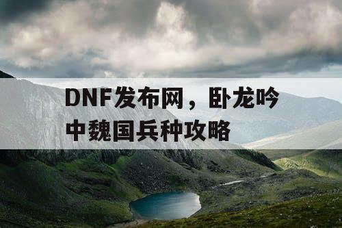 DNF发布网，卧龙吟中魏国兵种攻略