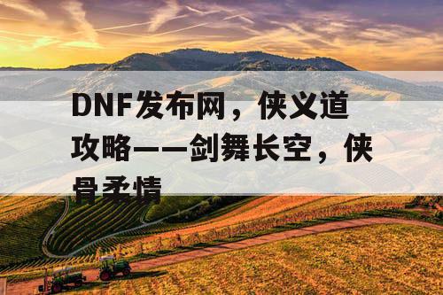 DNF发布网，侠义道攻略——剑舞长空，侠骨柔情