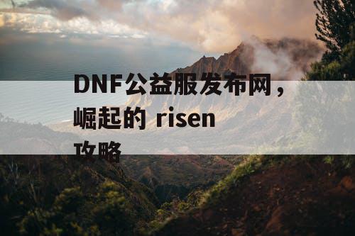 DNF公益服发布网，崛起的 risen 攻略