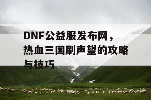 DNF公益服发布网，热血三国刷声望的攻略与技巧