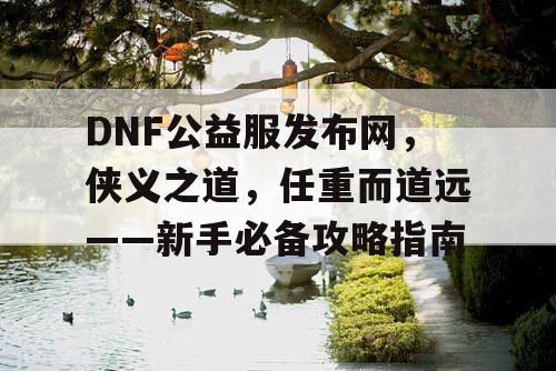 DNF公益服发布网，侠义之道，任重而道远——新手必备攻略指南