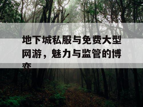 地下城私服与免费大型网游，魅力与监管的博弈