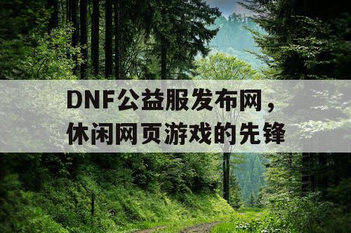 DNF公益服发布网，休闲网页游戏的先锋